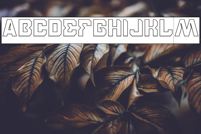 BROTHER-Hollow Example 1