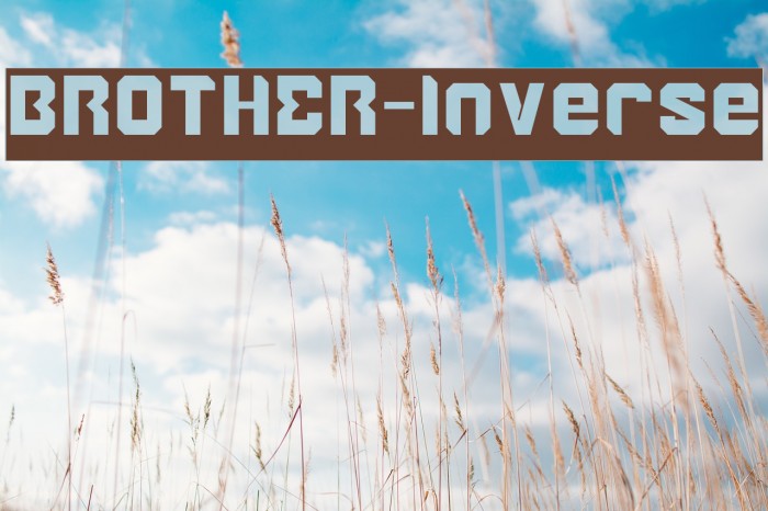 BROTHER-Inverse Example 1