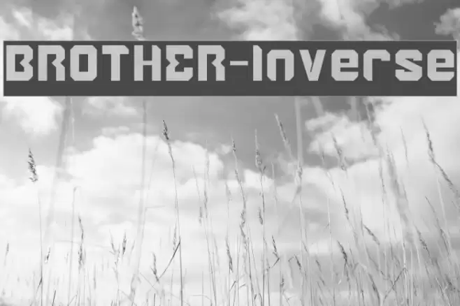 BROTHER-Inverse Font examples