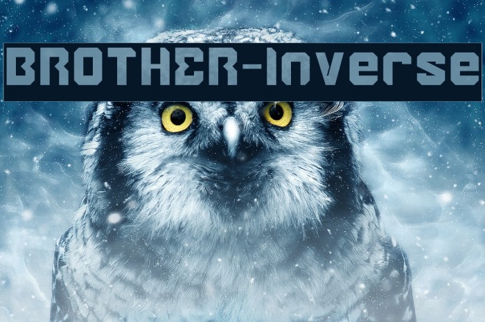 BROTHER-Inverse Example 3