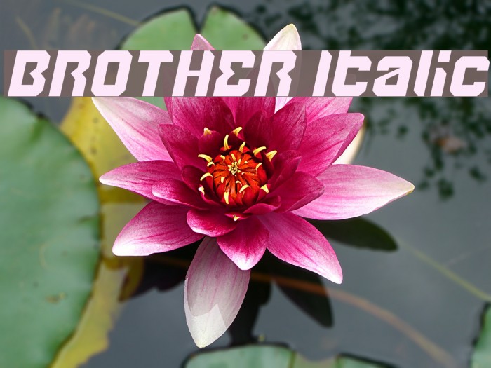 BROTHER Italic Example 1