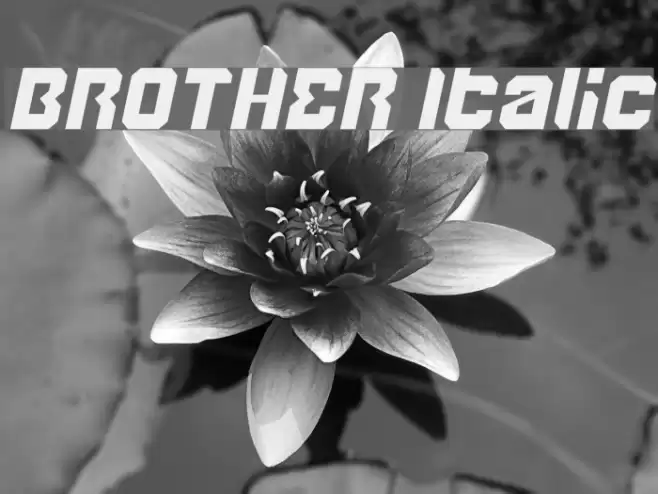 BROTHER Italic Font examples