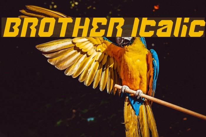 BROTHER Italic Example 3