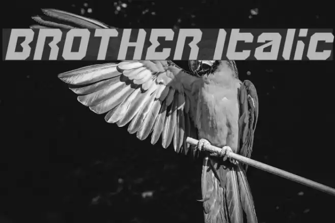 BROTHER Italic Font examples