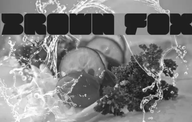 BROWN FOX Font examples