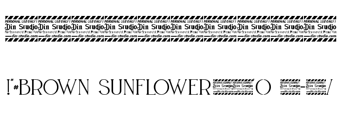 BROWN SUNFLOWER SERIF Font OTHER CHARS