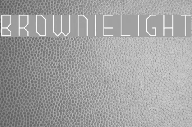 BROWNIElight Font examples