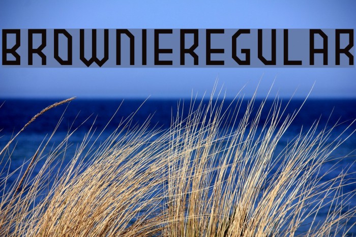 BROWNIEregular Font examples