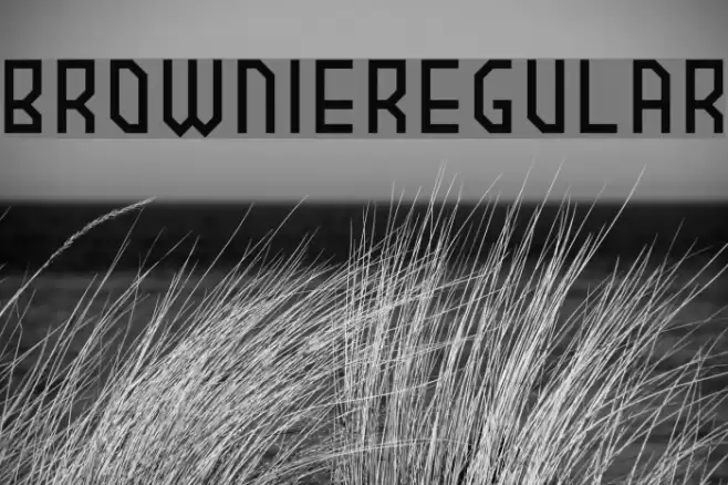 BROWNIEregular Font examples