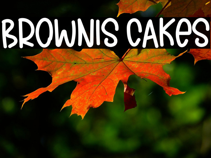 BROWNIS CAKES Example 3