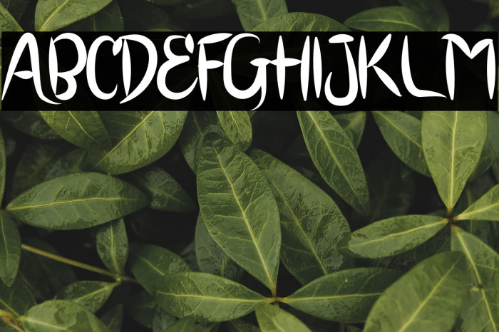 BRUSH SCOOT Example 1