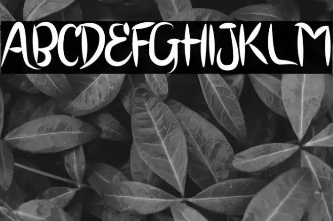 BRUSH SCOOT Font examples