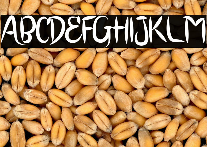 BRUSH SCOOT Example 2