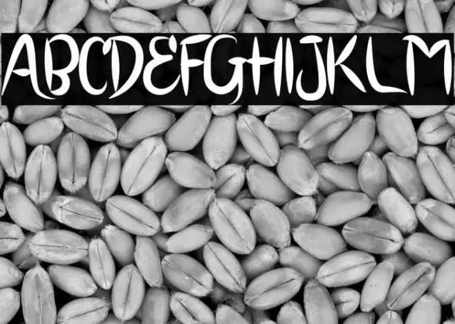 BRUSH SCOOT Font examples