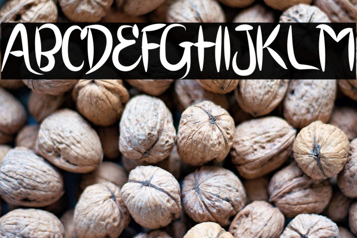 BRUSH SCOOT Example 3