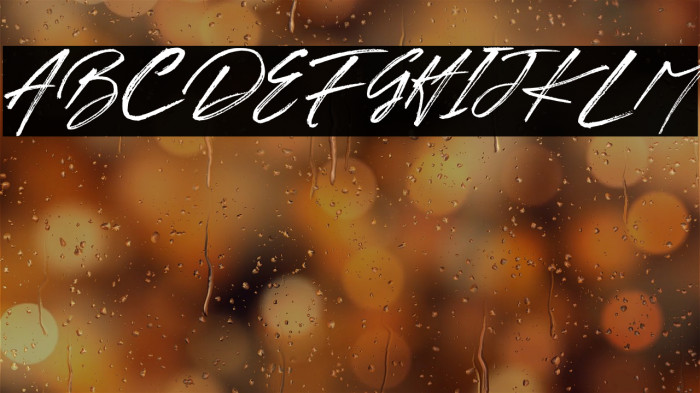 BRUSH TANGSE Example 1