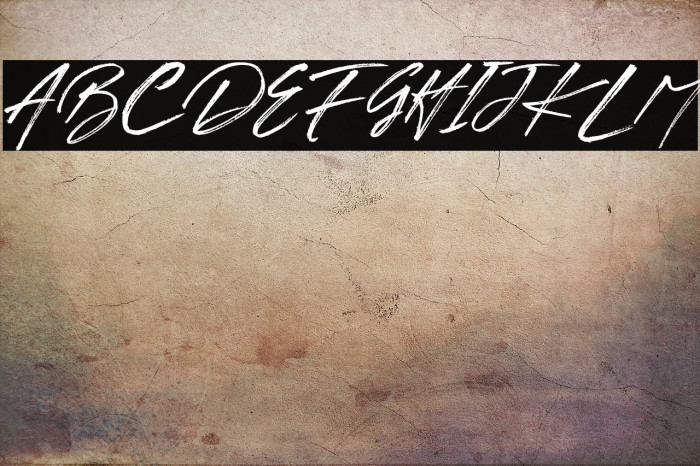 BRUSH TANGSE Example 3