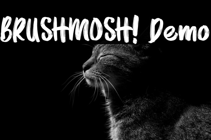 BRUSHMOSH! Demo Example 3