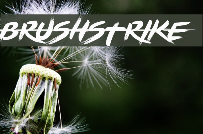 BRUSHSTRIKE Font examples