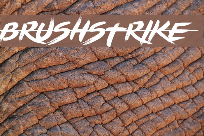 BRUSHSTRIKE Font examples