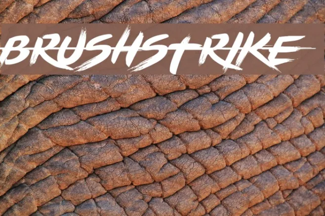 BRUSHSTRIKE Example 2