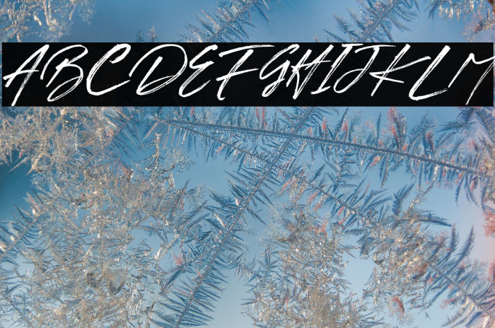 BRUSHTANGSE Example 1