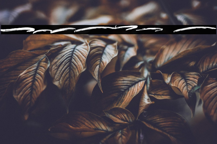 BRUSHY Swash Example 3