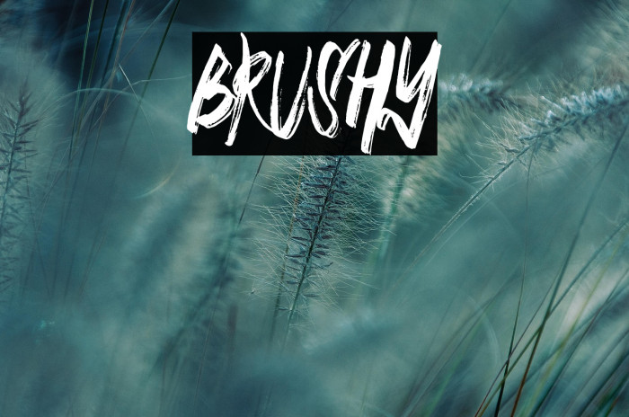 BRUSHY Example 1