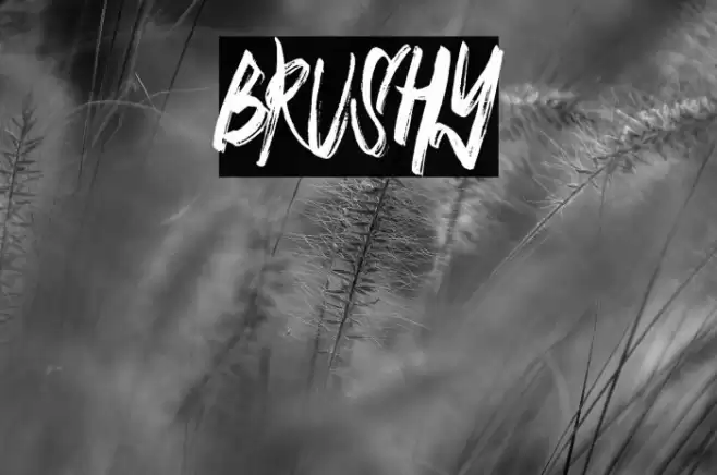 BRUSHY Font examples