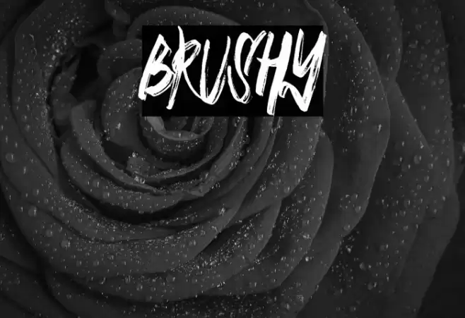 BRUSHY Font examples