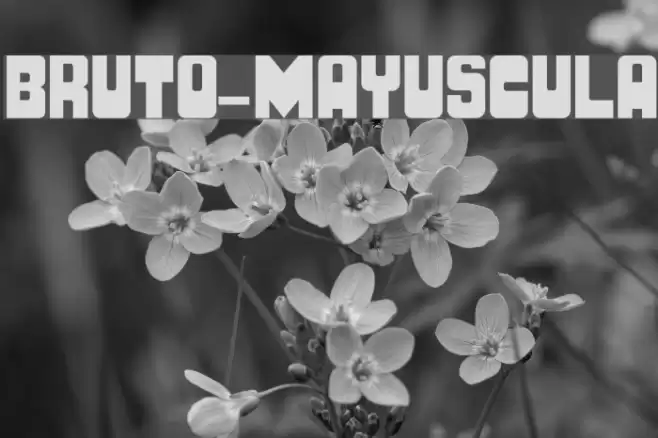 BRUTO-MAYUSCULA Font examples