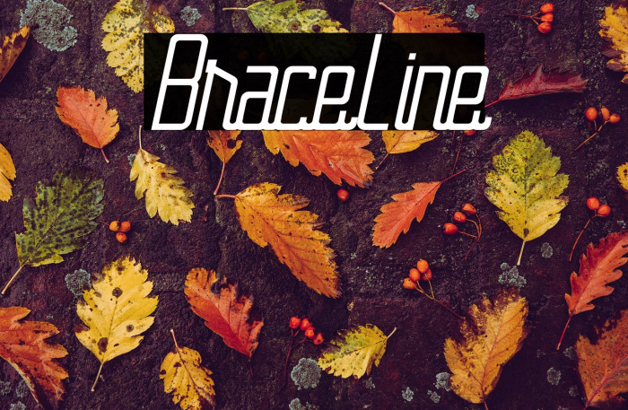 BraceLine Example 2