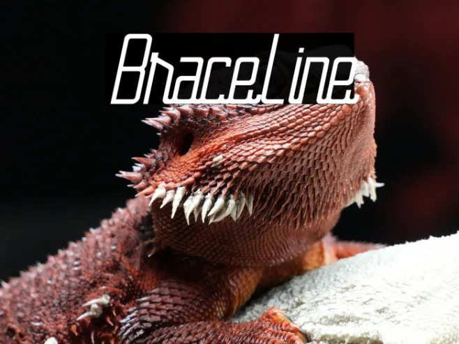 BraceLine Example 3