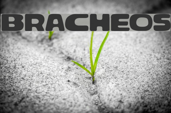 Bracheos Font examples