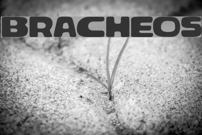 Bracheos Font examples