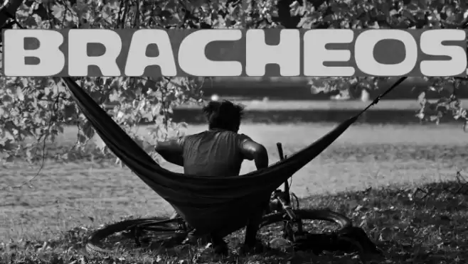 Bracheos Font examples