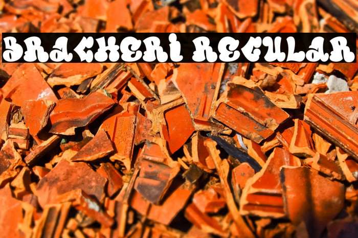 Bracheri Regular Example 1