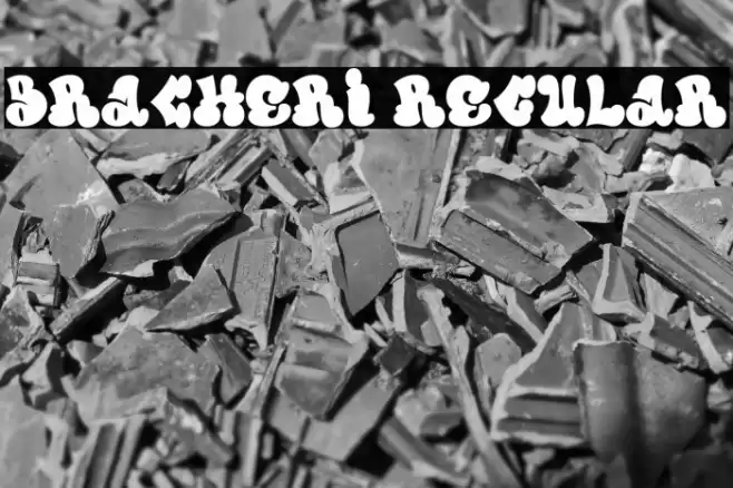 Bracheri Regular Font examples