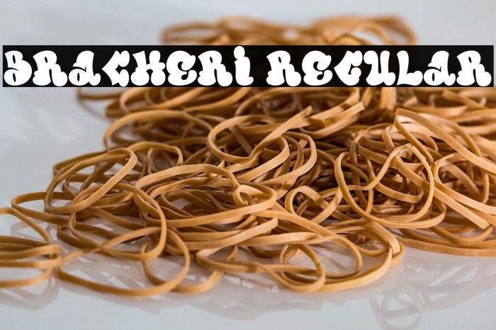 Bracheri Regular Example 2