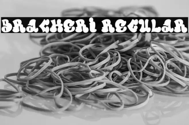 Bracheri Regular Font examples