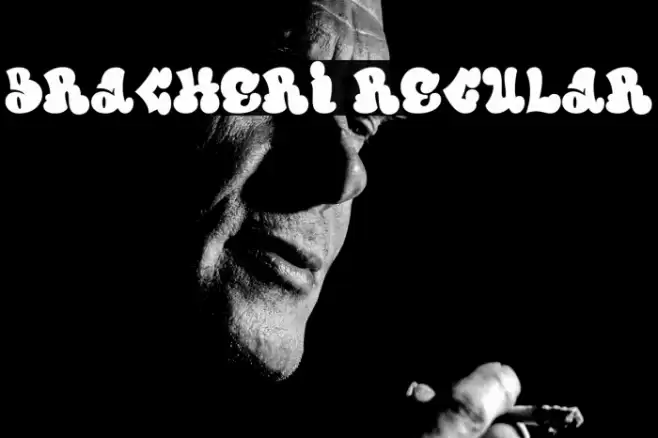 Bracheri Regular Font examples
