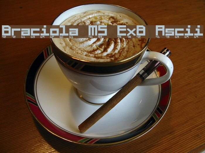 Braciola MS ExB Ascii Font examples