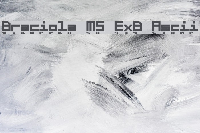 Braciola MS ExB Ascii Font examples
