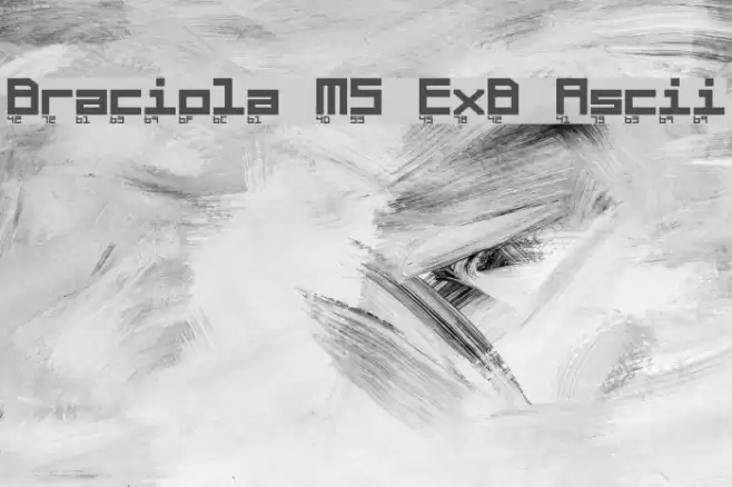 Braciola MS ExB Ascii Schriftart examples