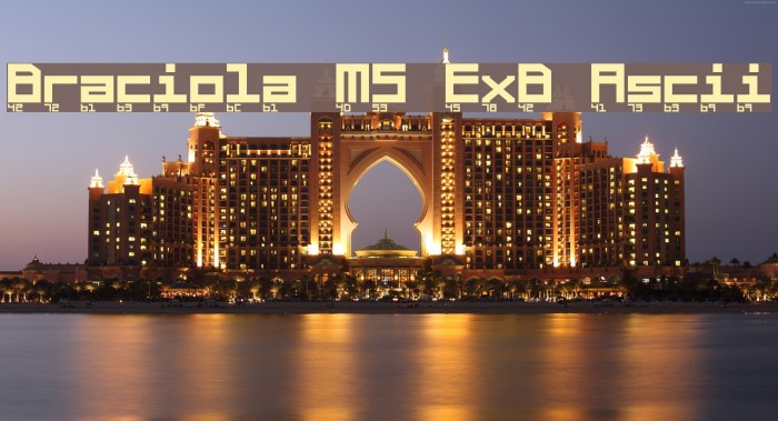 Braciola MS ExB Ascii Font examples