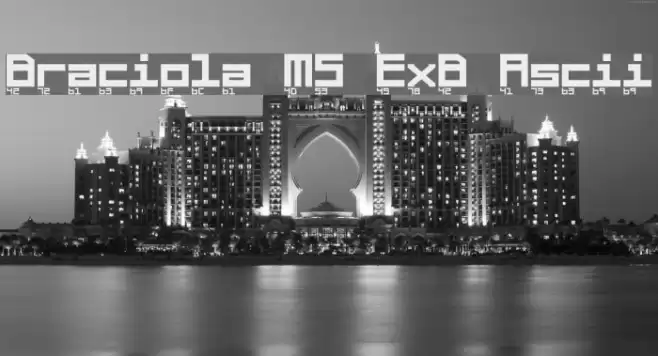 Braciola MS ExB Ascii Schriftart examples