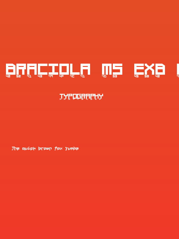 Braciola MS ExB Ascii Poster