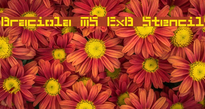 Braciola MS ExB Stencil Font examples