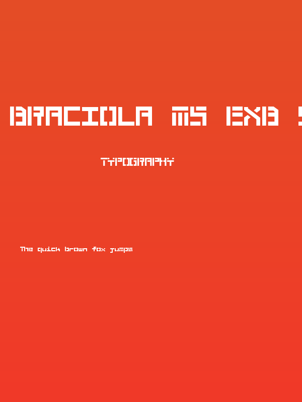 Braciola MS ExB Stencil Poster