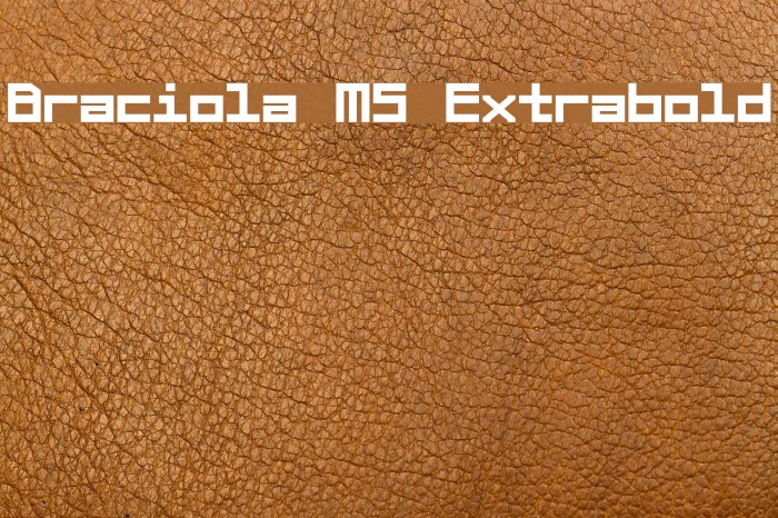 Braciola MS Extrabold Schriftart examples